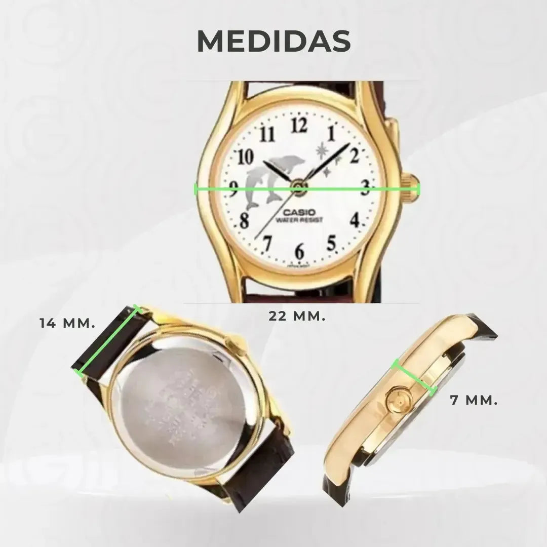 Reloj Casio LTP-1094Q-7B9 Correa de Cuero Negro Esfera Blanca Dorado Clásico Elegante